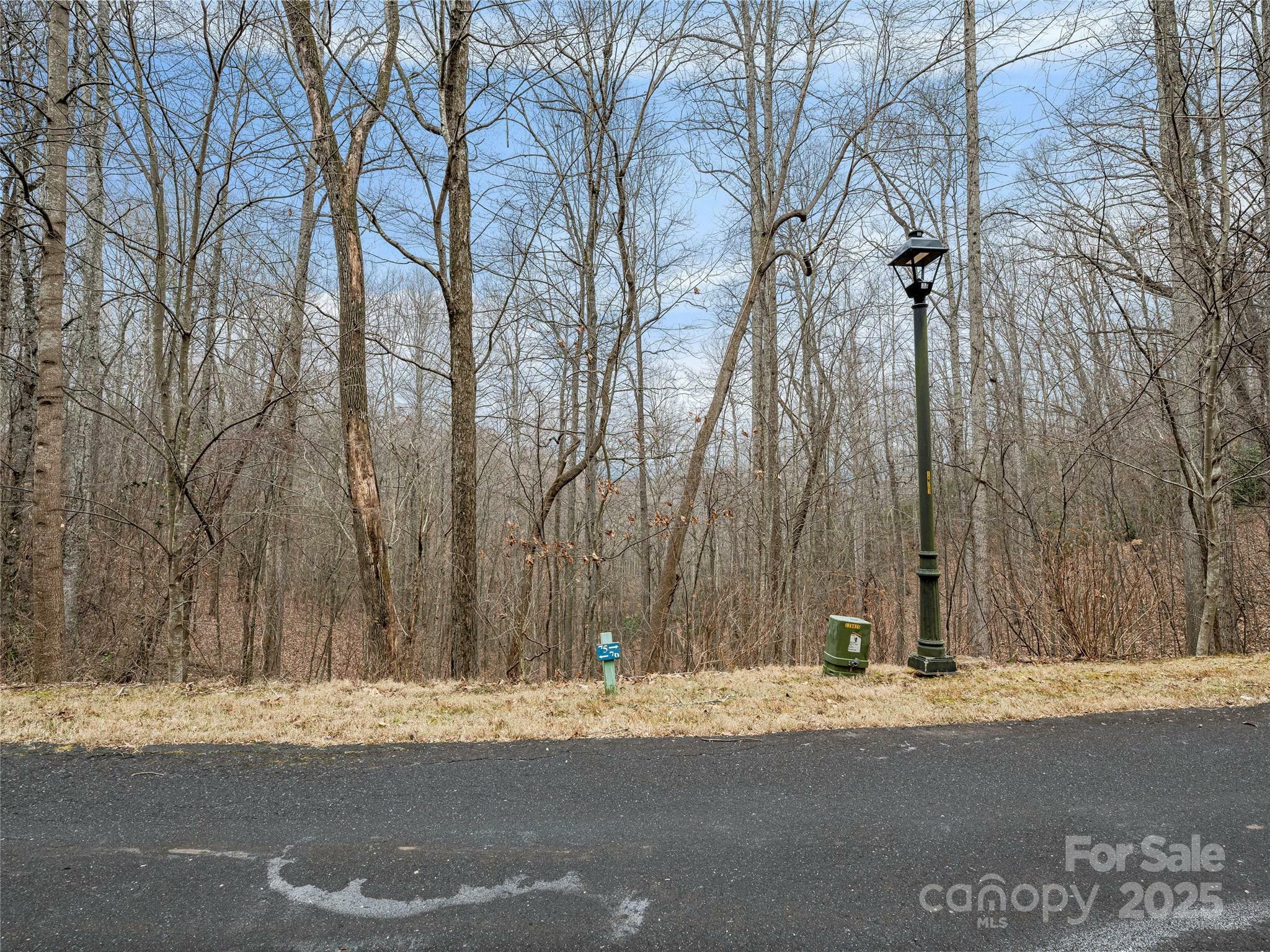 Property Photo: 19 Mossy Rock Lane 76 NC 28748