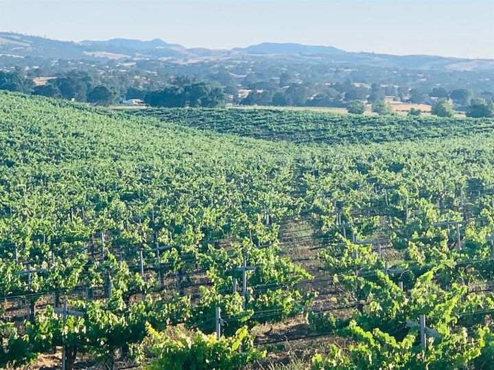 Property Photo:  4860 Camp 8 Road  CA 93446 