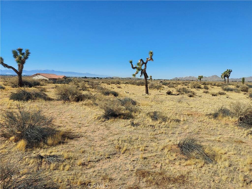 Property Photo: 0 Tokata Parcel 0437-603-03 Road CA 92307