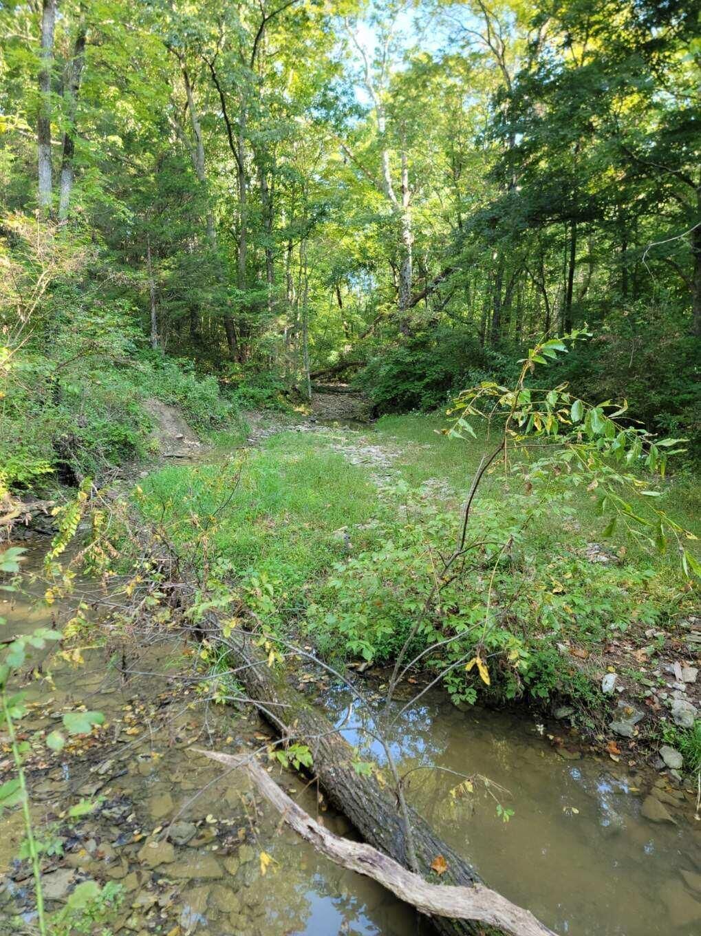 Property Photo:  15711 Pfanstiehl Road  KY 41033 