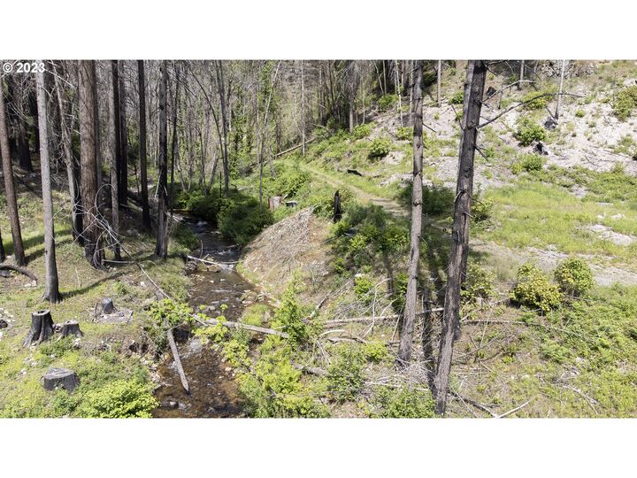 Property Photo: 47983 McKenzie Hwy OR 97488
