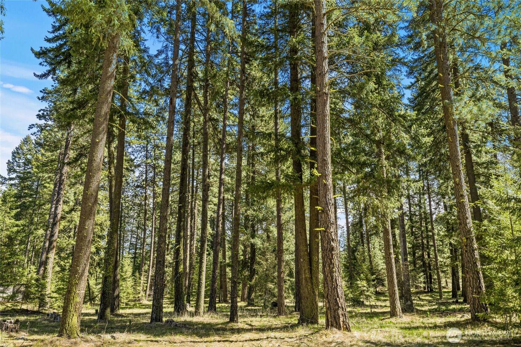 Property Photo: 871 Larkspur Loop WA 98922