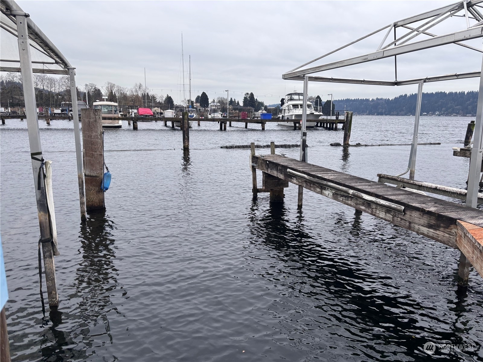 Property Photo:  3911  Lake Washington Boulevard SE A-84  WA 98006 