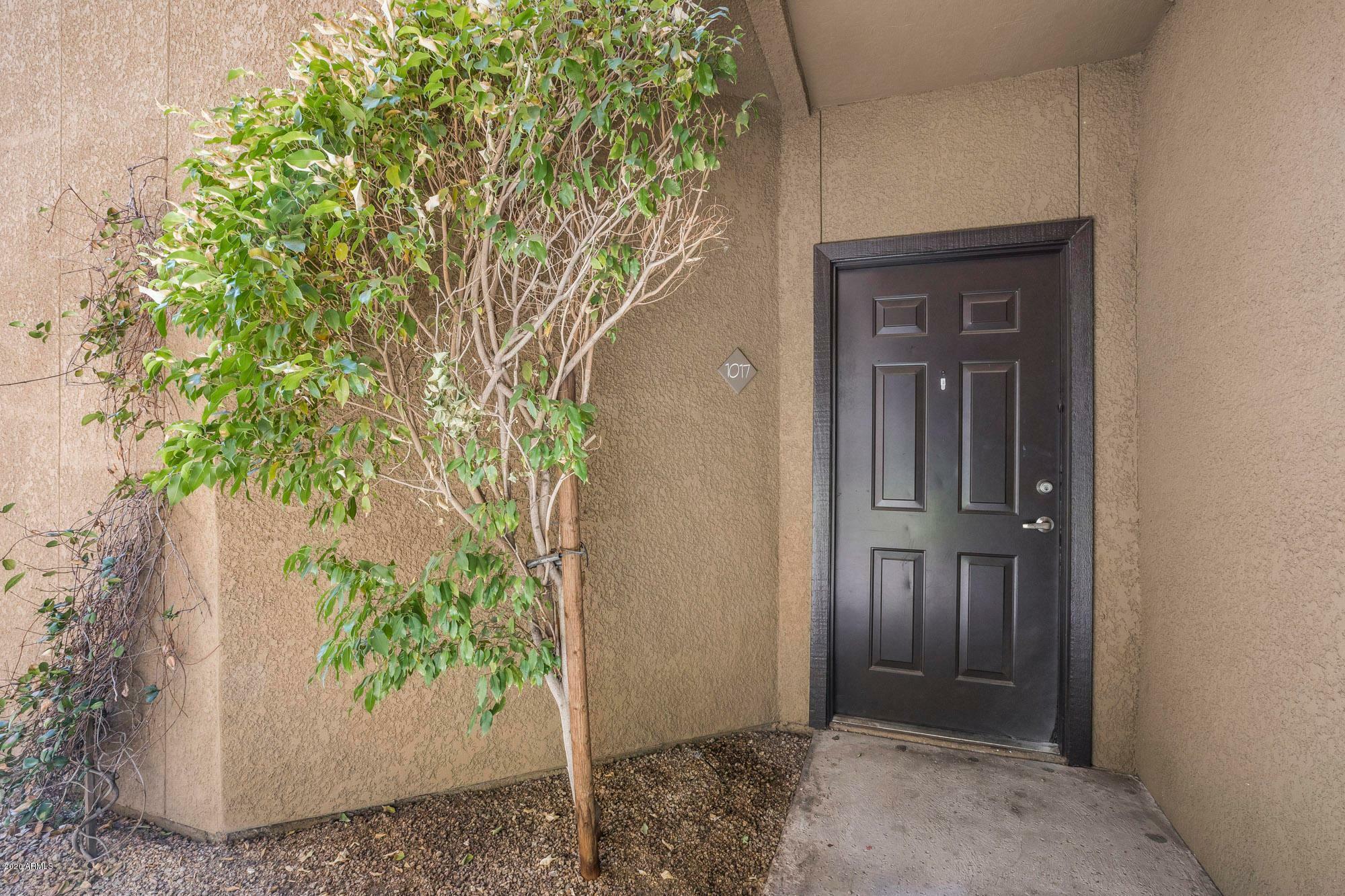 Property Photo:  4644 N 22nd Street 1017  AZ 85016 