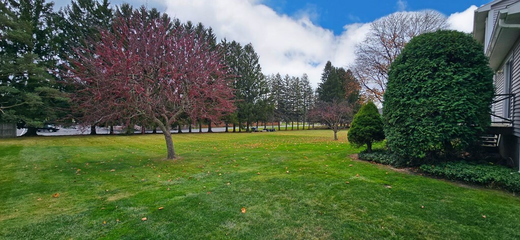 Property Photo:  108 Presidential Drive  NY 14845 