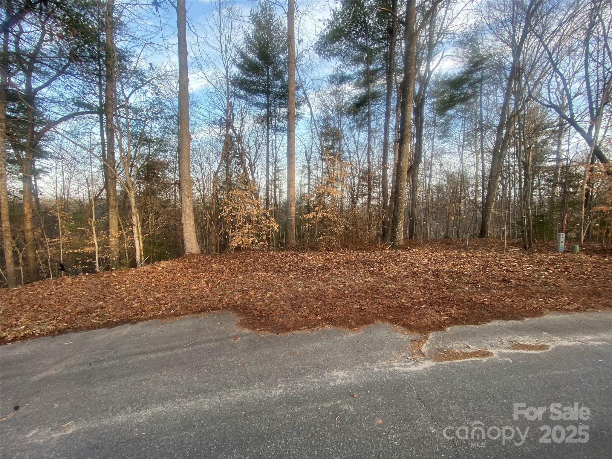 Property Photo:  211 Horse Shoe Lane  NC 28655 