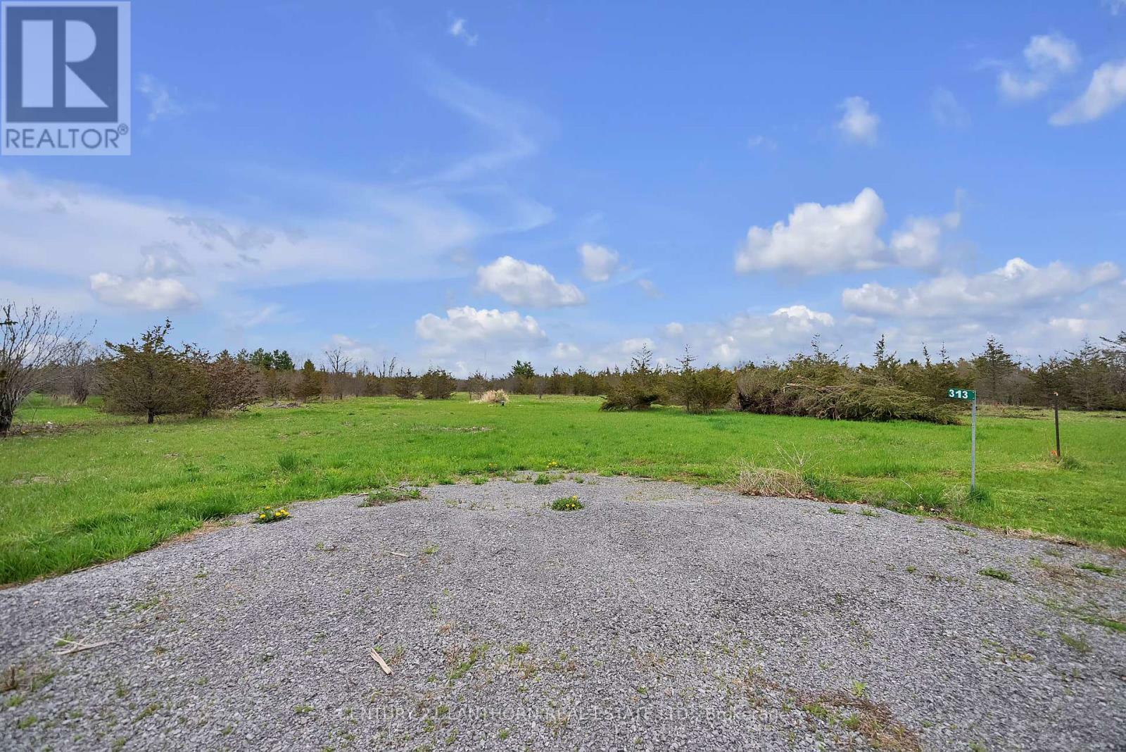 313 Kings Road  Prince Edward County (Athol Ward) ON K0K 1P0 photo