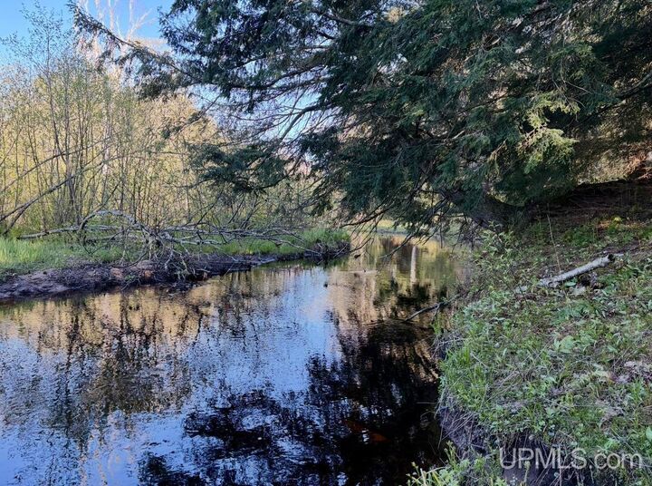 Property Photo:  94 +/- Acres Peter White Road  MI 49822 