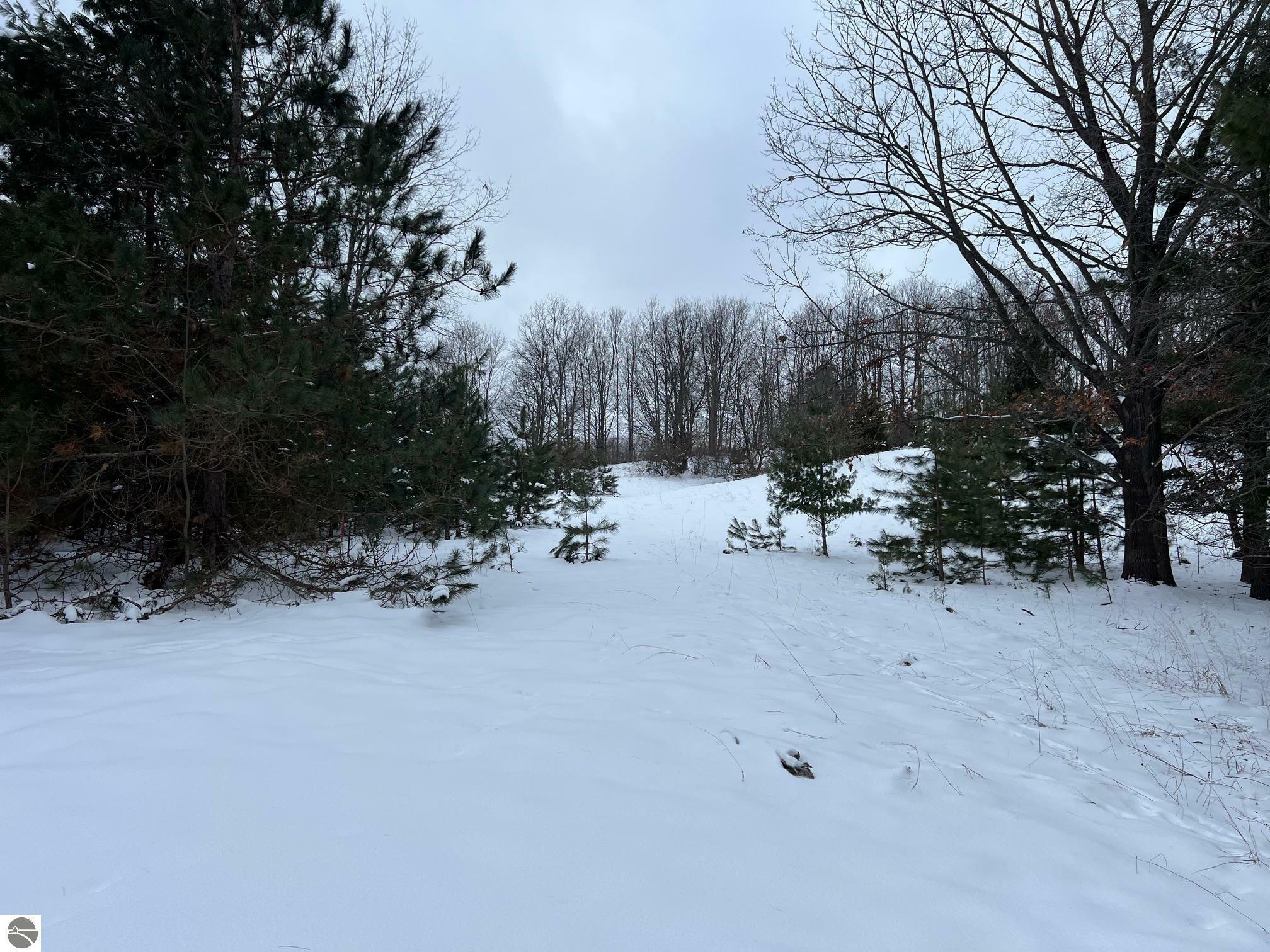 Property Photo:  Deal Road  MI 49690 