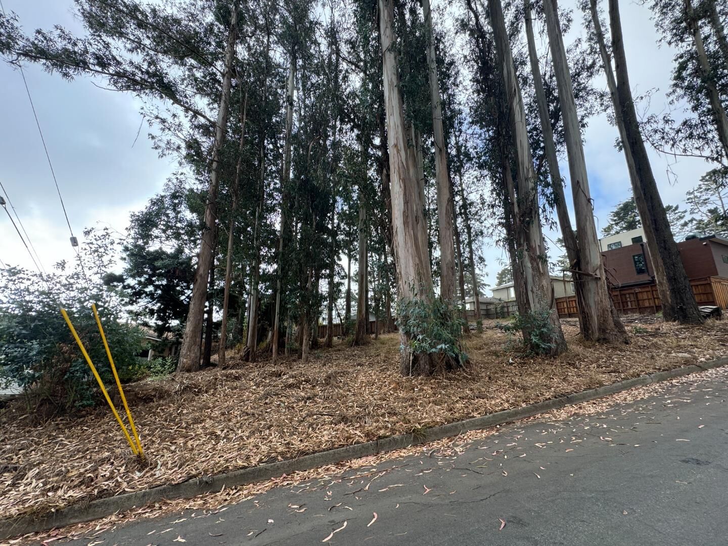 Property Photo:  000 The Alameda  CA 94018