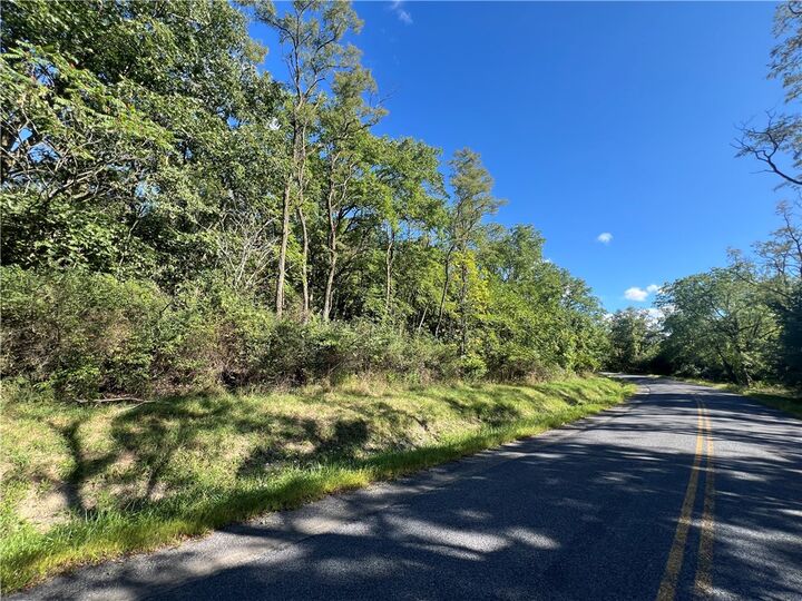 Property Photo:  00 Wicks Road  NY 14865 