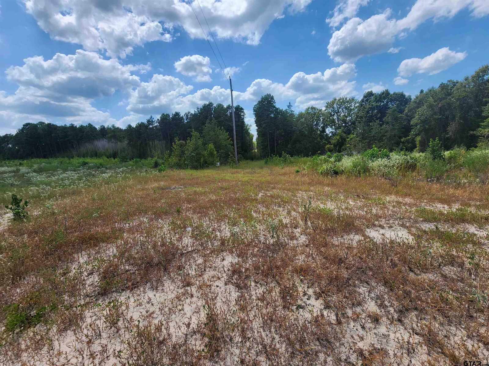 Property Photo: Tract 2 Tbd County Rd 1762 TX 75563