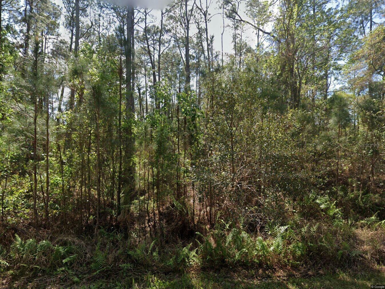 Property Photo:  412 Dogwood Avenue  FL 32139 