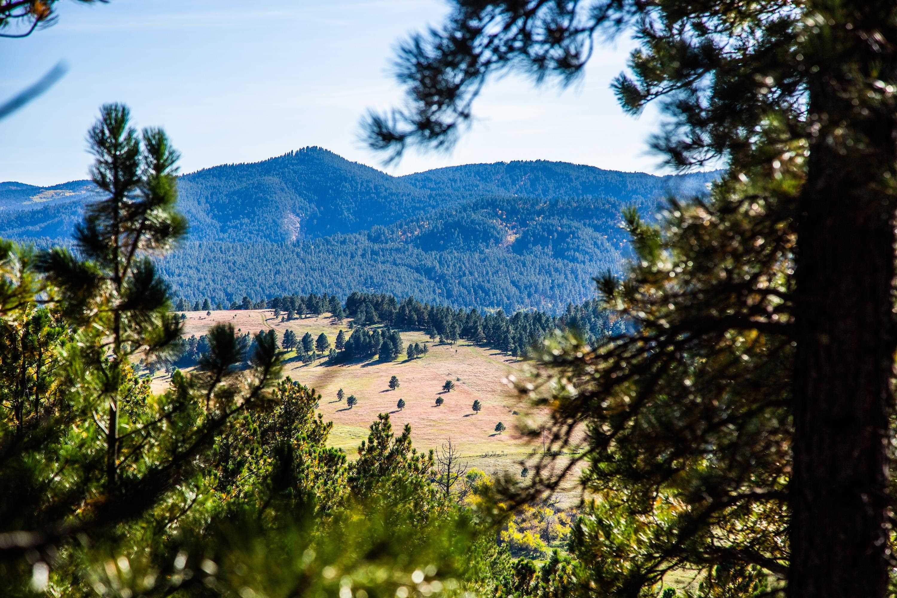 Lot 31 Three Peaks Pass  Whitewood SD 57793 photo