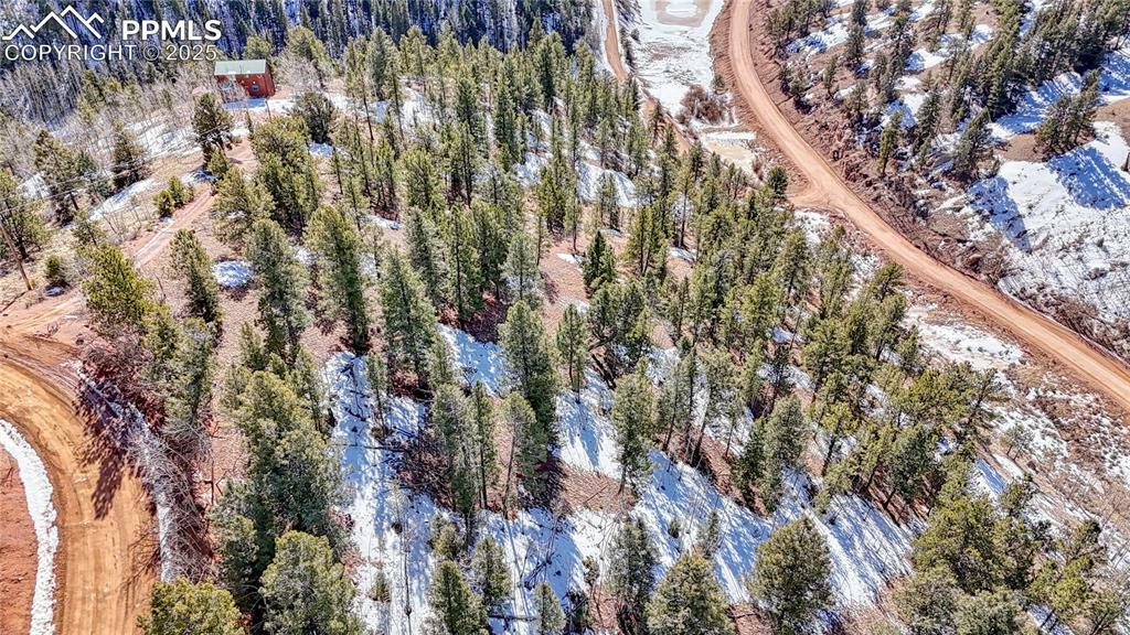 Property Photo: 626 Little Topsey Drive CO 80813