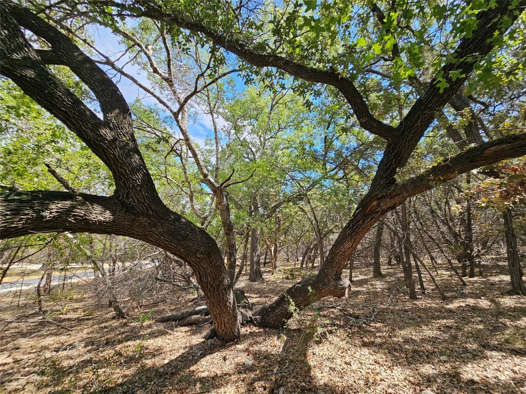 Property Photo: 7 W El Camino Real TX 78676