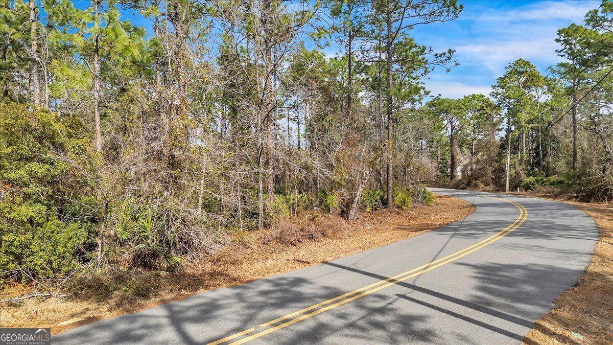 Property Photo:  51 Pine Forest Drive  GA 31546 