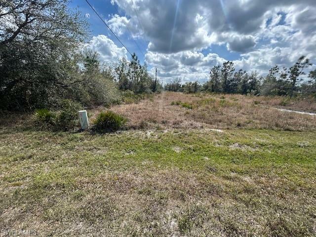 Property Photo: 29451 Peace River Shores Blvd FL 33982