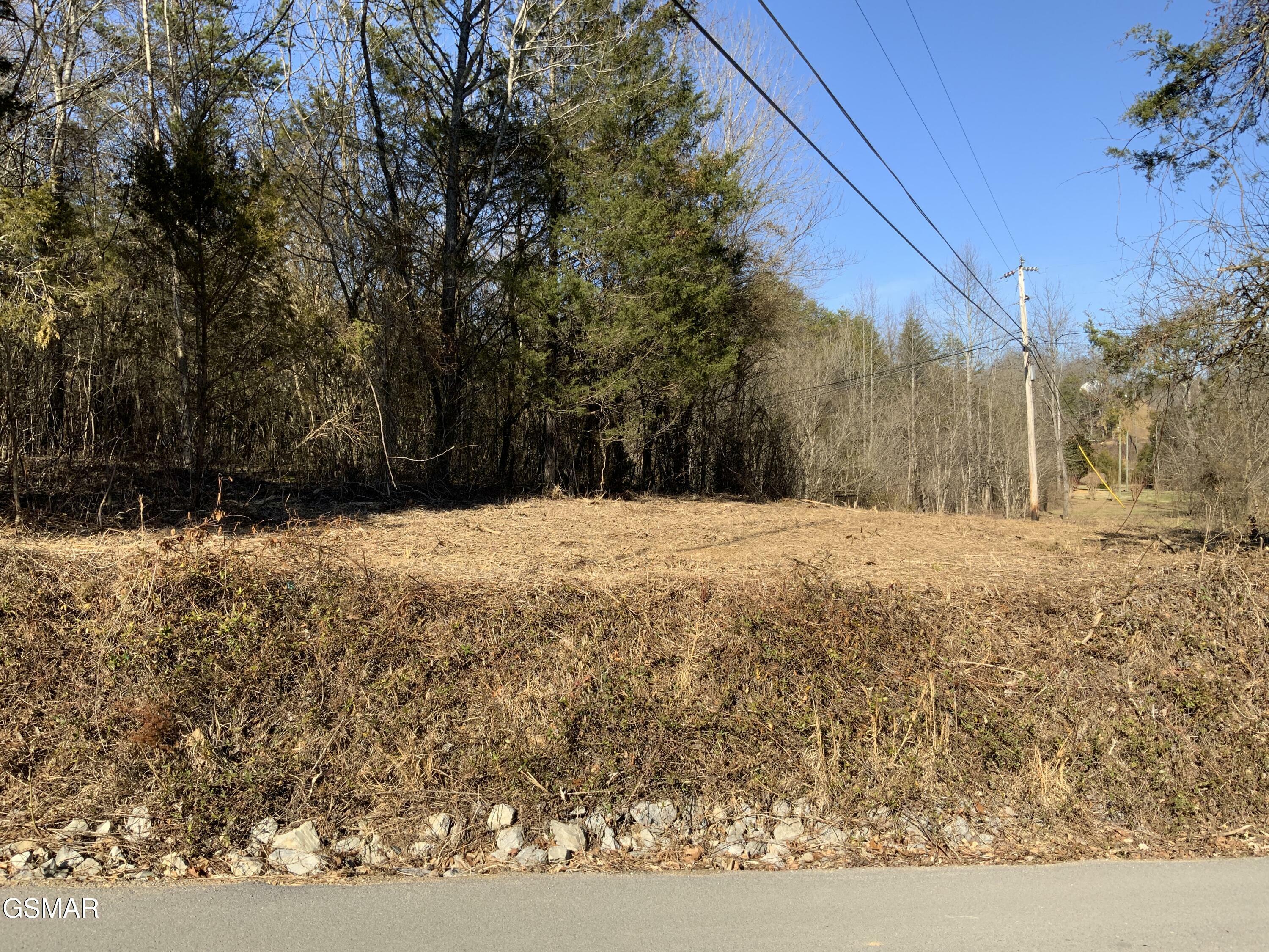 Property Photo:  Lot 1 McCarter Hollow Road  TN 37862 