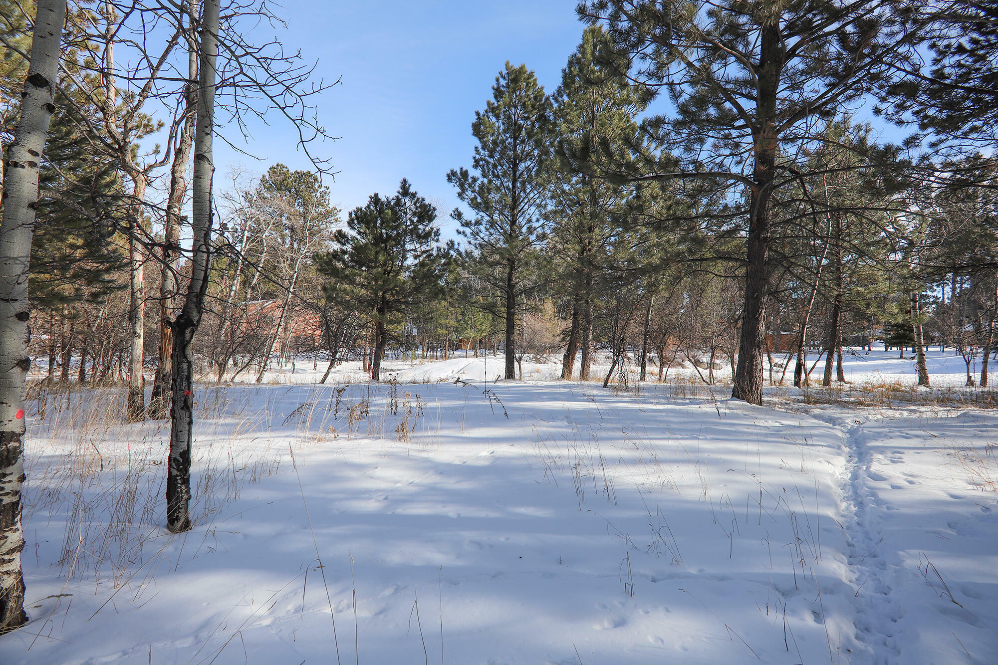 Property Photo:  11 Dogwood Lane  WY 82842 