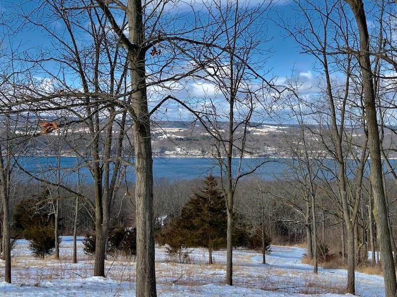 Property Photo: 0 Nichols Road NY 14818