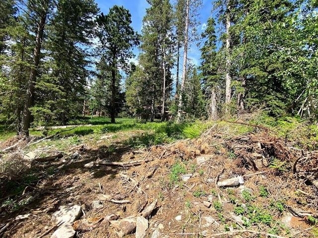 Property Photo:  Lot 25 Blue Sky Loop  SD 57754 