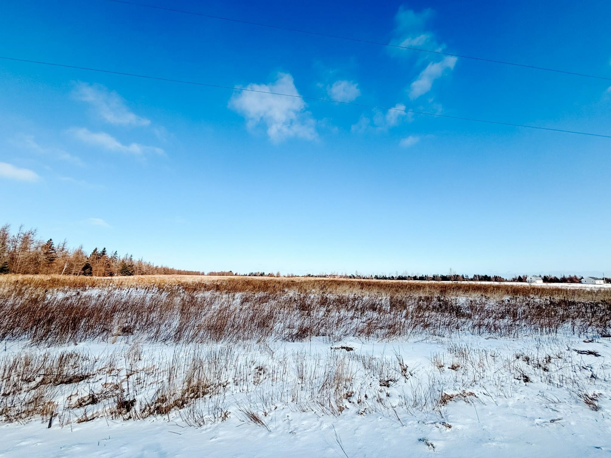 Property Photo: Acreage Cape Bear Road PE C0A 1W0