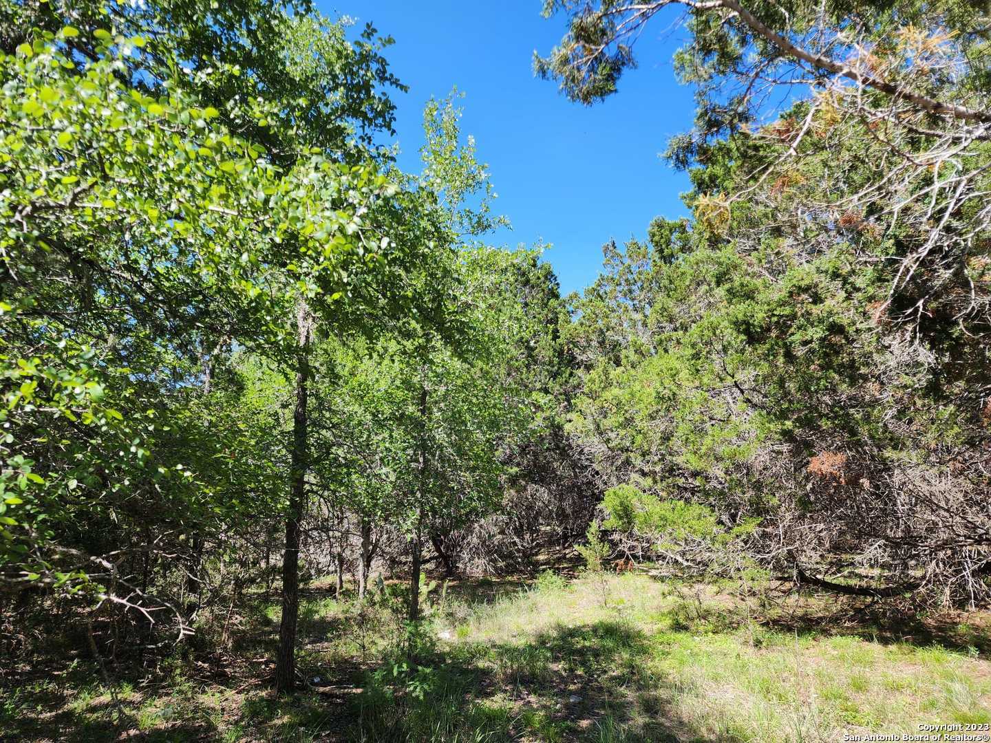 Property Photo:  5051 Fm 1863  TX 78163 