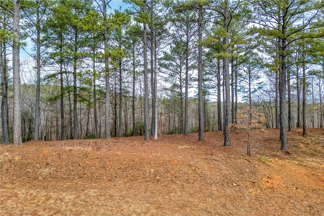 Property Photo:  321 Golden Bear Drive  SC 29685 