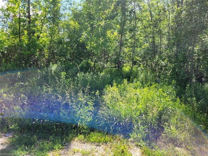 Property Photo: 11325 Highway 26 N/A ON L8Y 5H8
