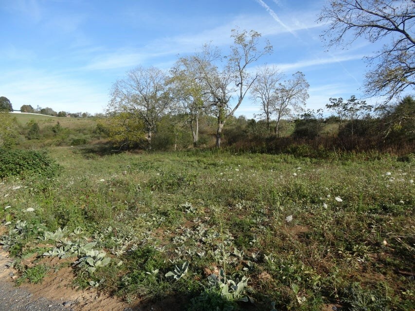 Property Photo:  Lot 8 &Amp Bowden Estates Drive  WV 24957 