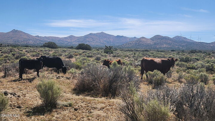 Property Photo:  Kelso Valley Road  CA 93519 