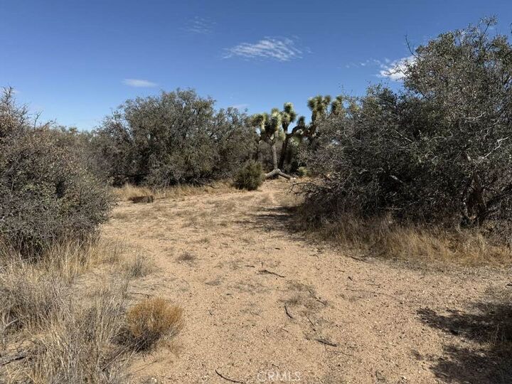 Property Photo:  8135 Joshua Street  CA 92371 