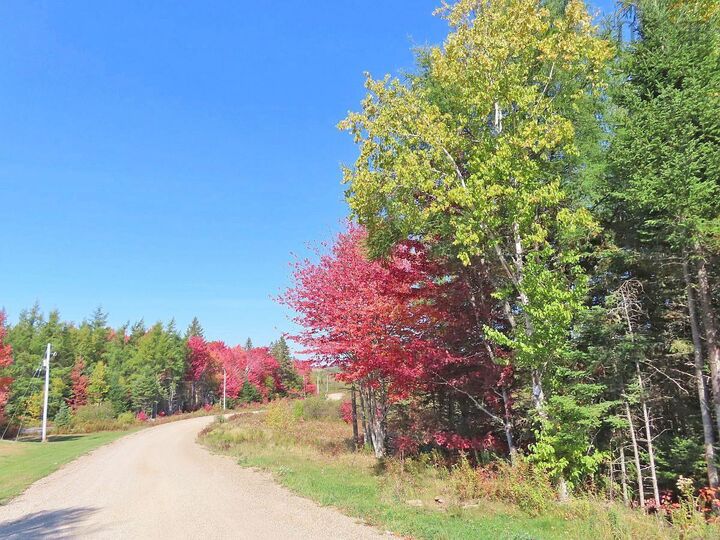 Property Photo:  62 Acres West Side Road  NS B0H 1J0 
