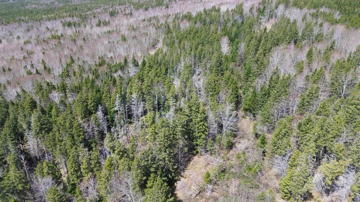 Property Photo:  Lot David Street  NS B0E 1P0 