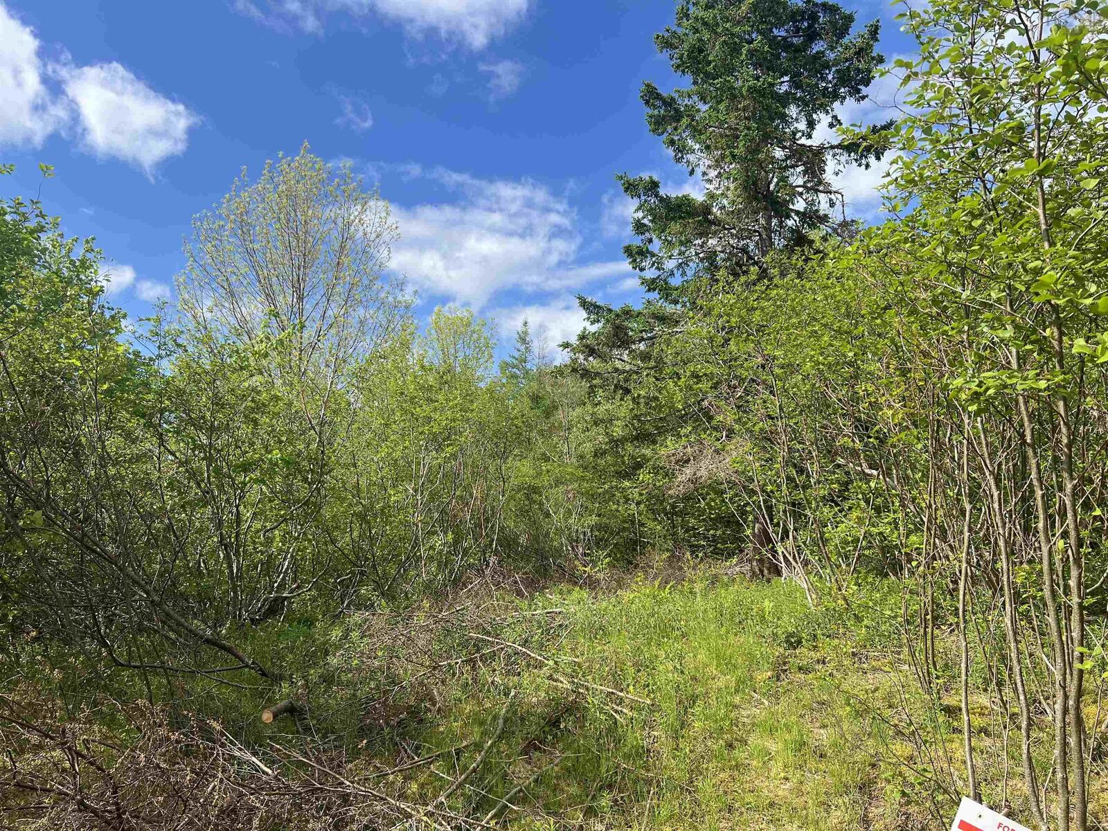 Property Photo:  18 Jorphie Drive  NS B0N 1X0 