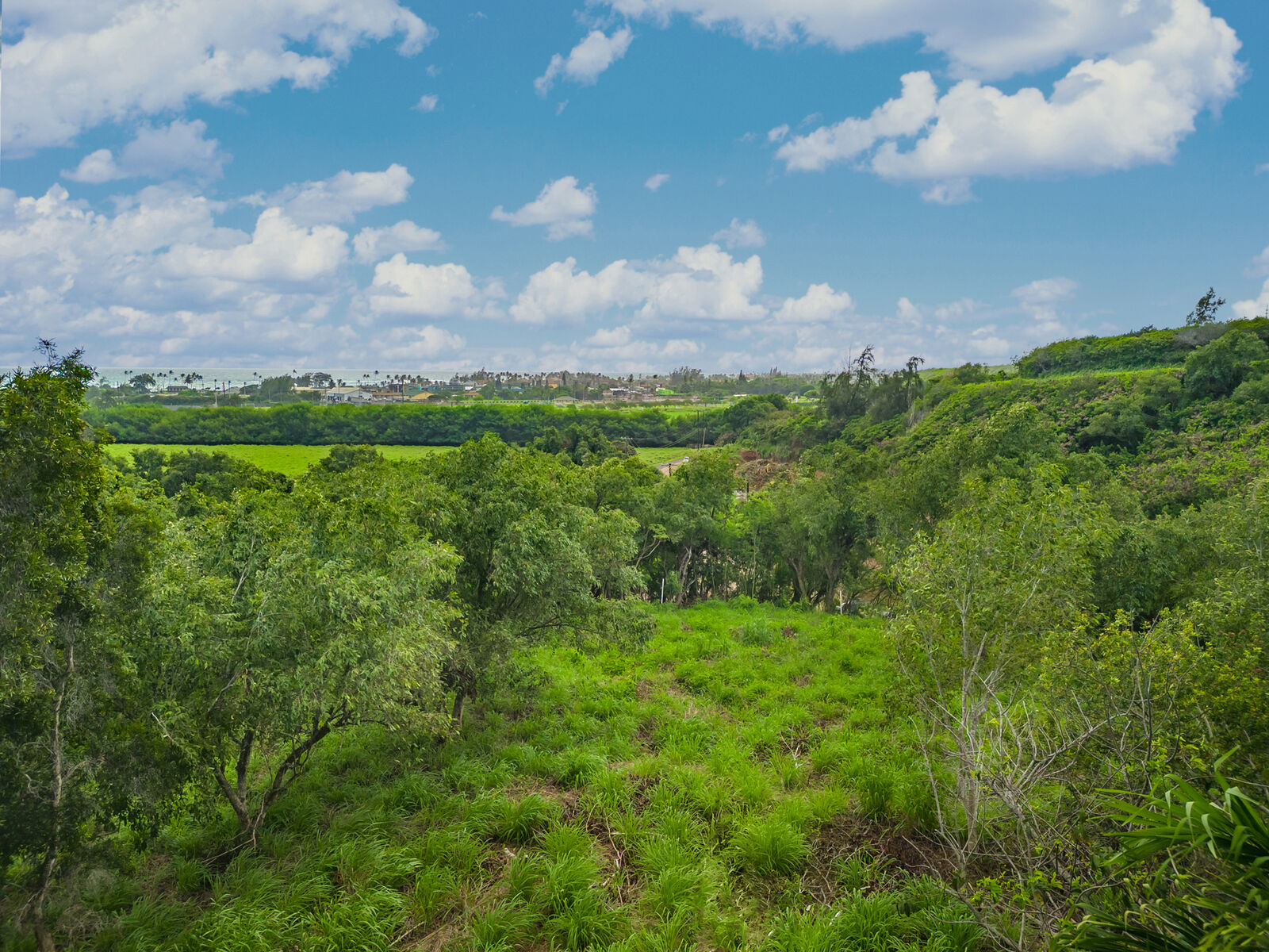 Property Photo:  Apopo Rd  HI 96746 