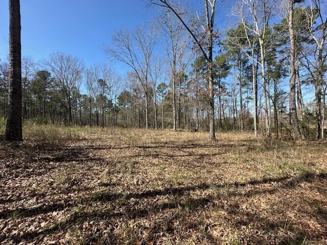 Property Photo:  Tbd Fm 1662  TX 75661 