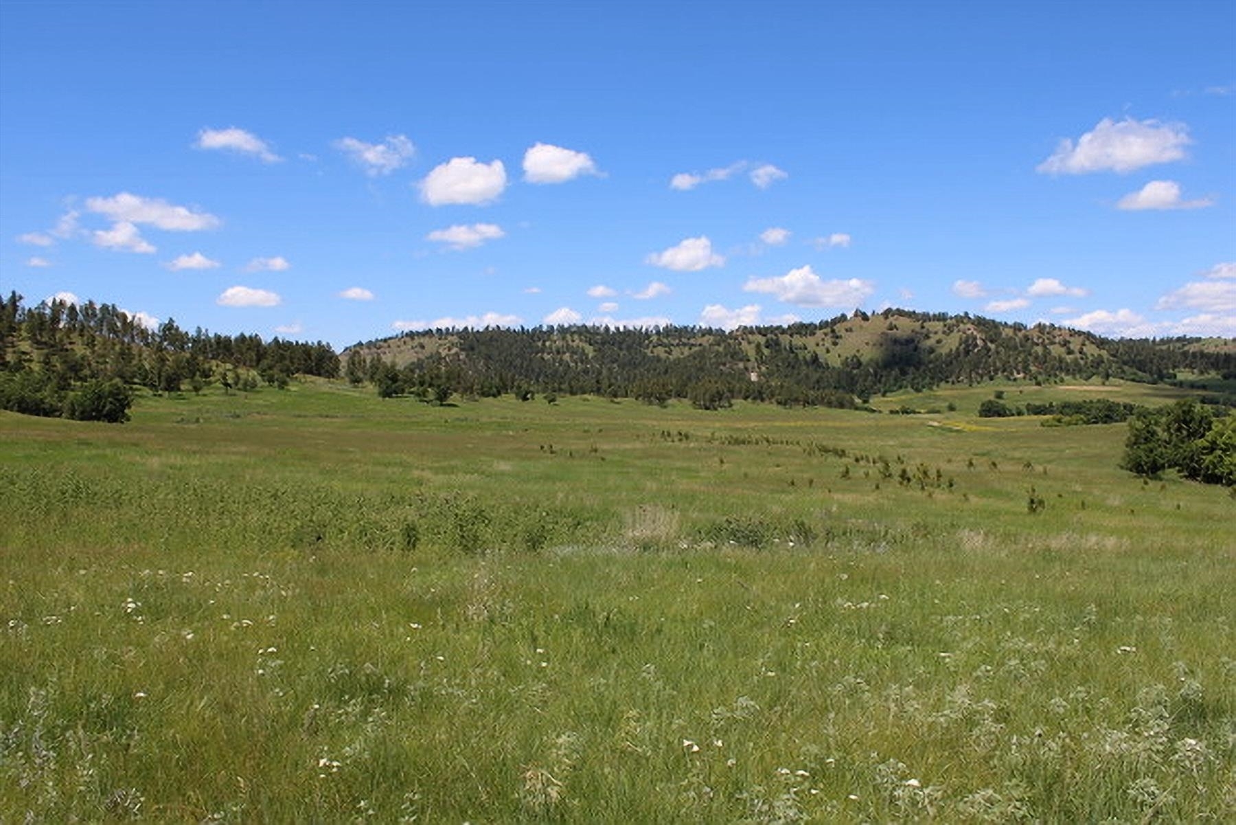 Property Photo: 11A Bay Mountain Road WY 82720-9999