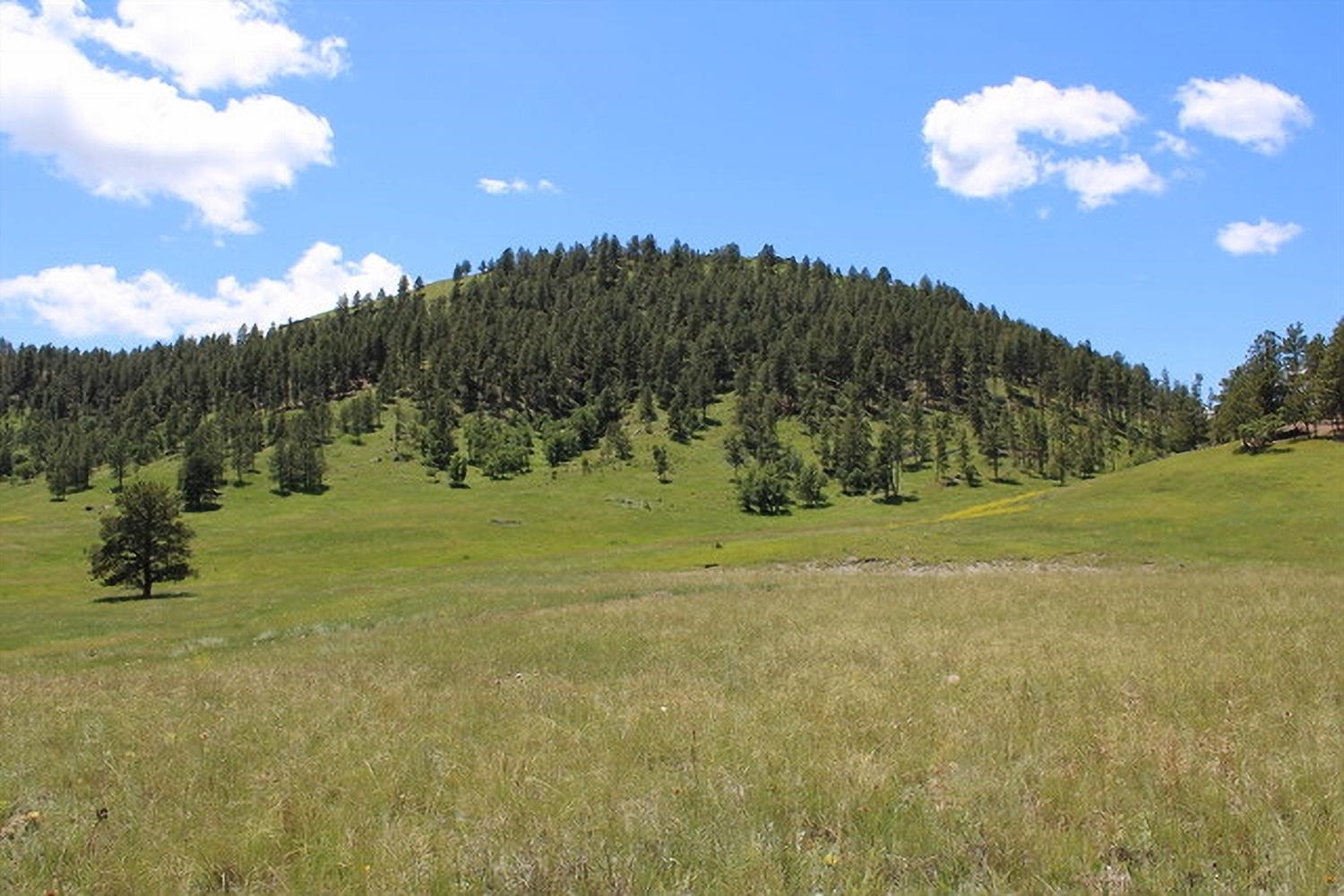 Property Photo:  Tract 9A Bay Mountain Road  WY 82720-9999 