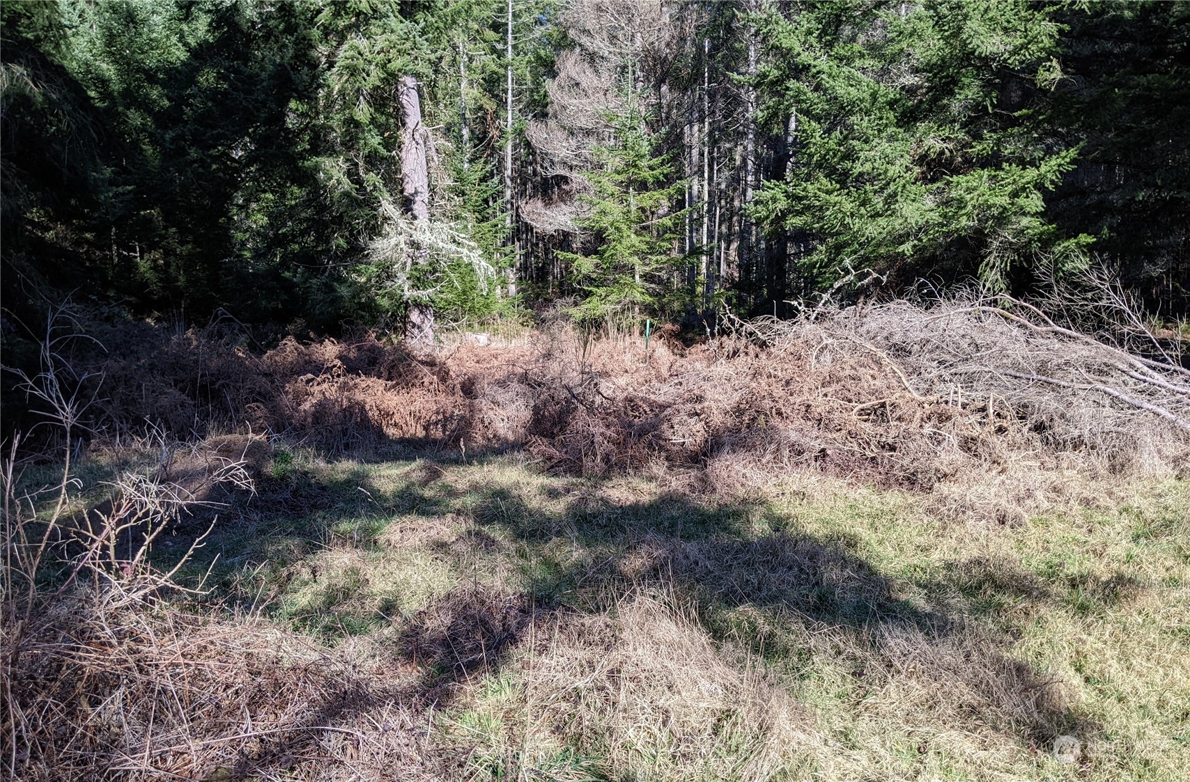 Property Photo:  0  Andreason Road  WA 98260 