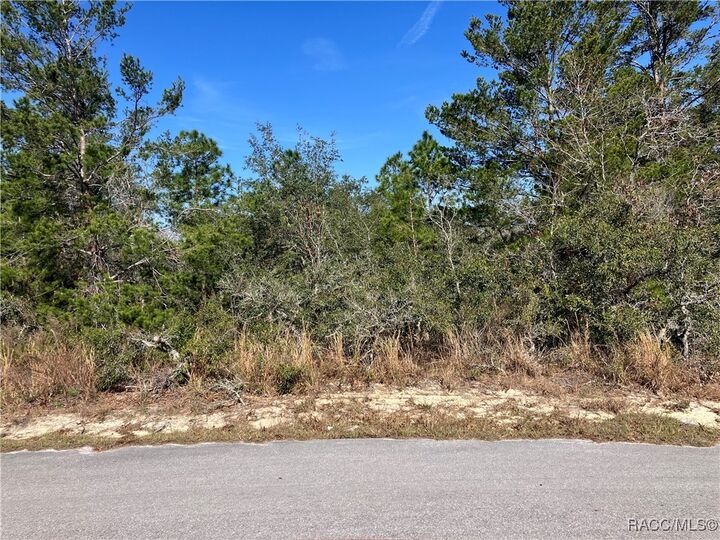 Property Photo:  19 Rudbeckia Court  FL 34446 