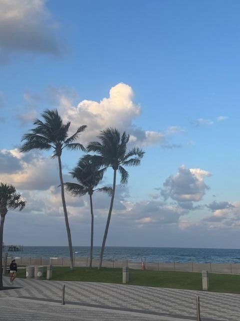 505 NE 20th Avenue NE 110  Deerfield Beach FL 33441 photo