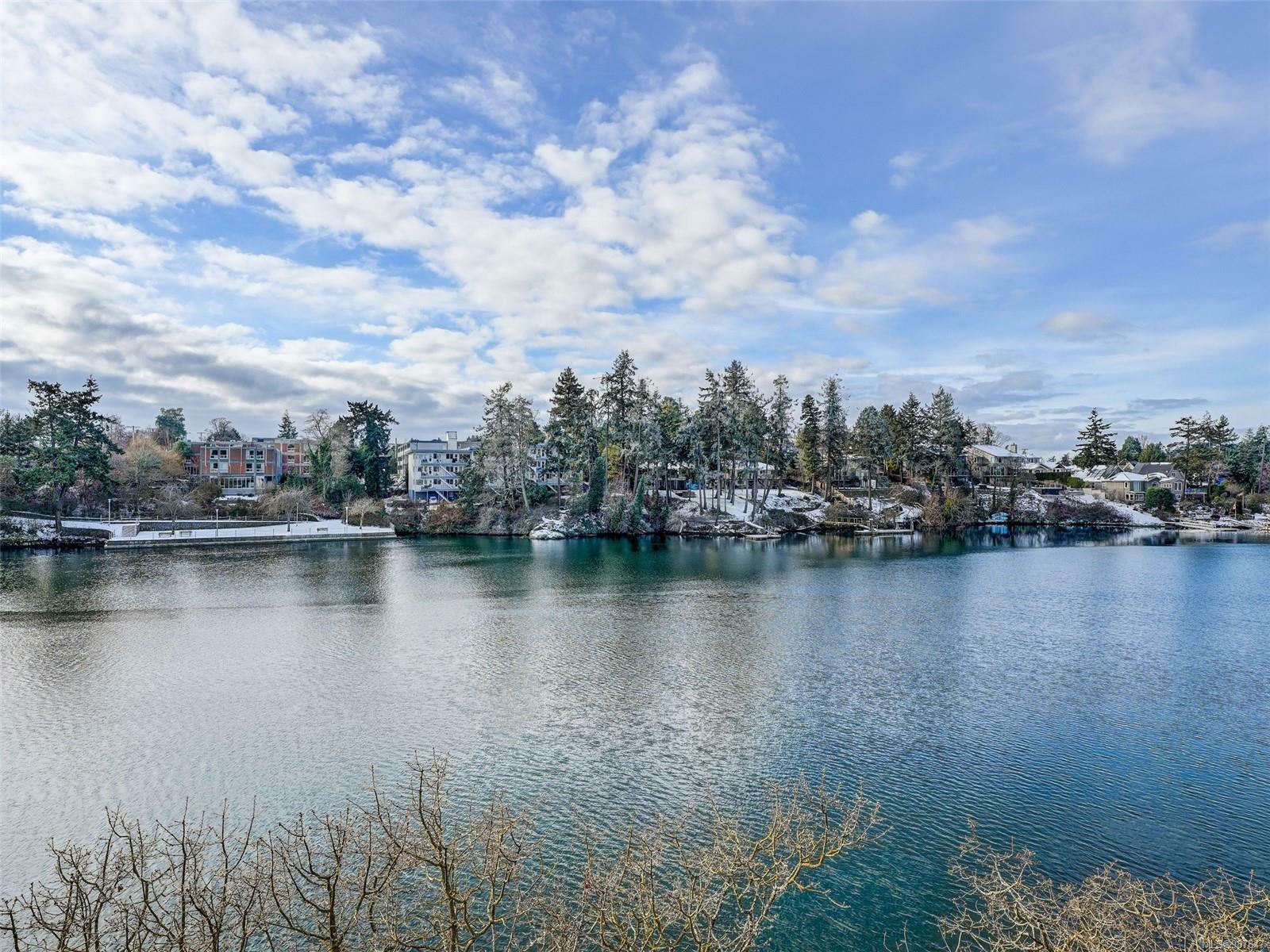 Property Photo: 67 Gorge Rd W 1 BC V9A 1L9