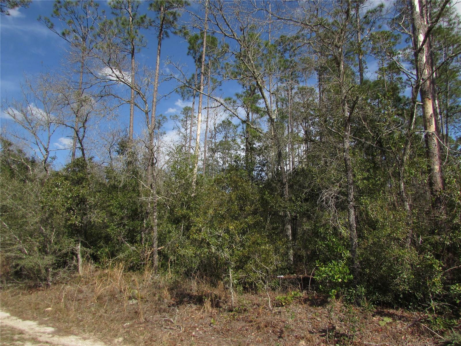 Property Photo:  Lot 17 SW Westview Avenue  FL 34431 