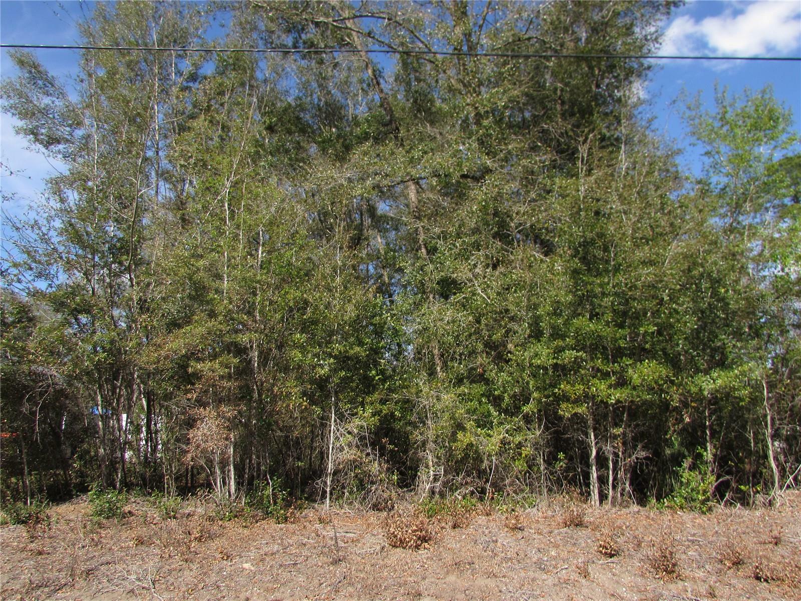 Property Photo:  Lot 32 SW Robin Drive  FL 34431 