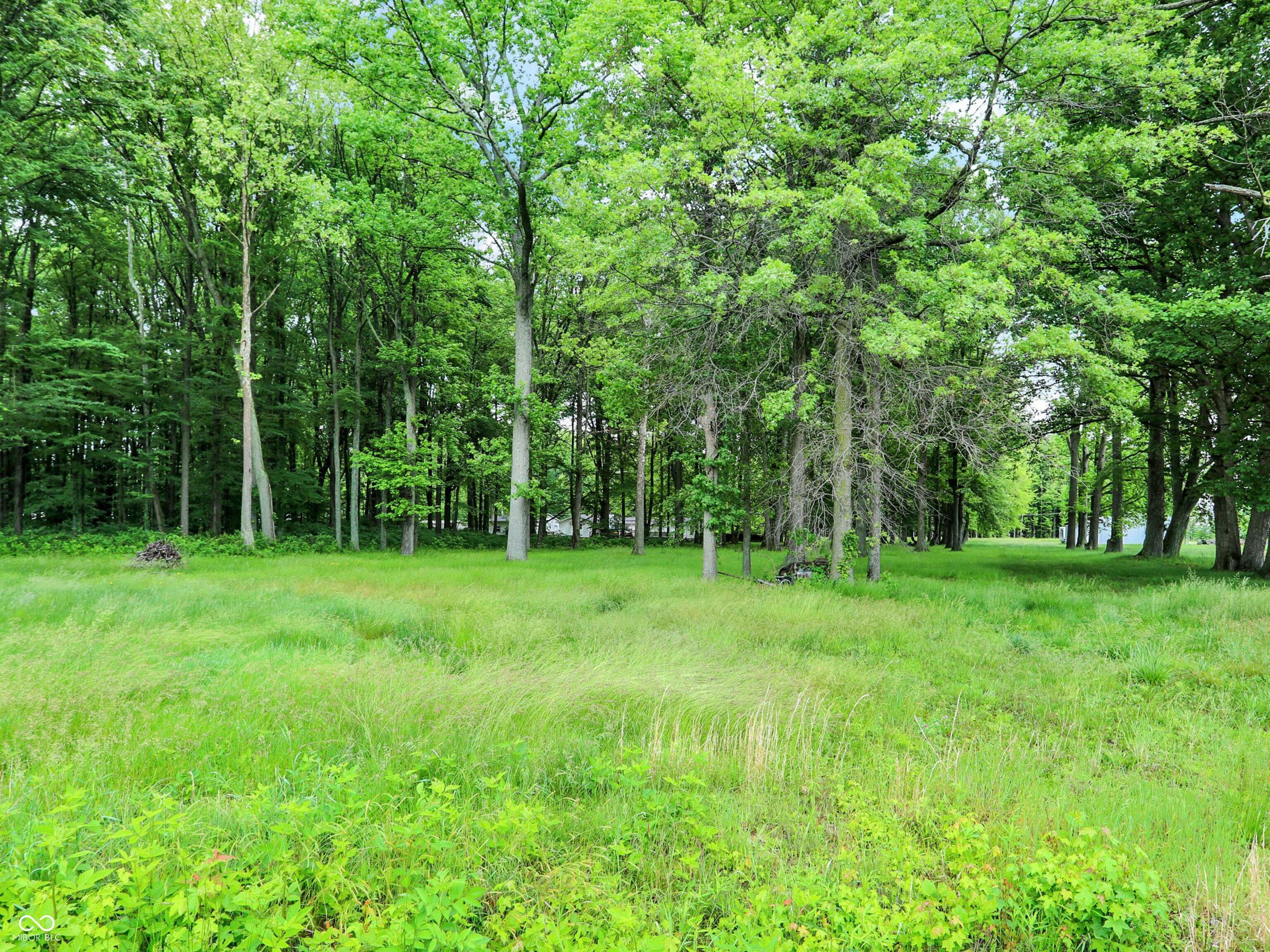 Property Photo:  Lot 1 W County Road 350 N  IN 47265 