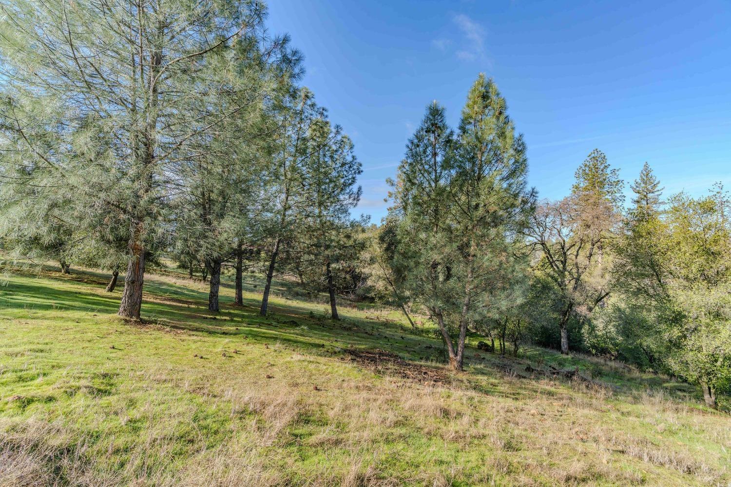 Property Photo:  0 Union Hill  CA 95370 