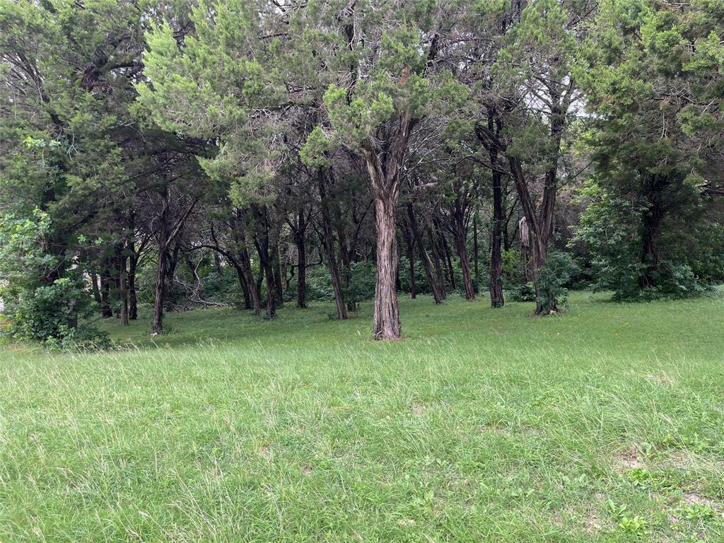 Property Photo:  772 Bluff Ridge Drive  TX 75104 