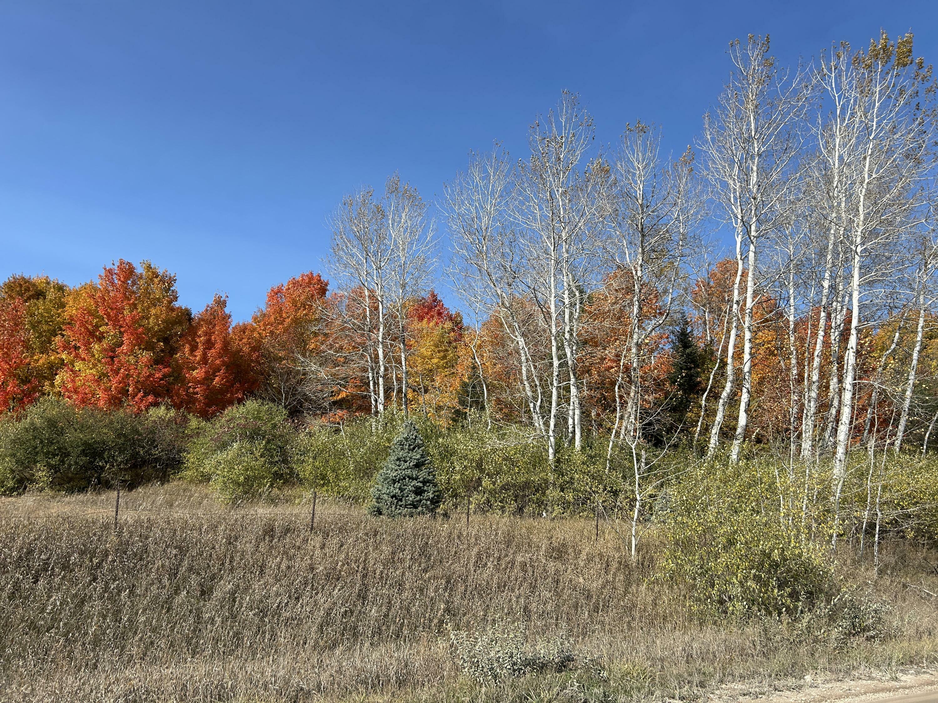 Indian Trail Road  Cheboygan MI 49721 photo